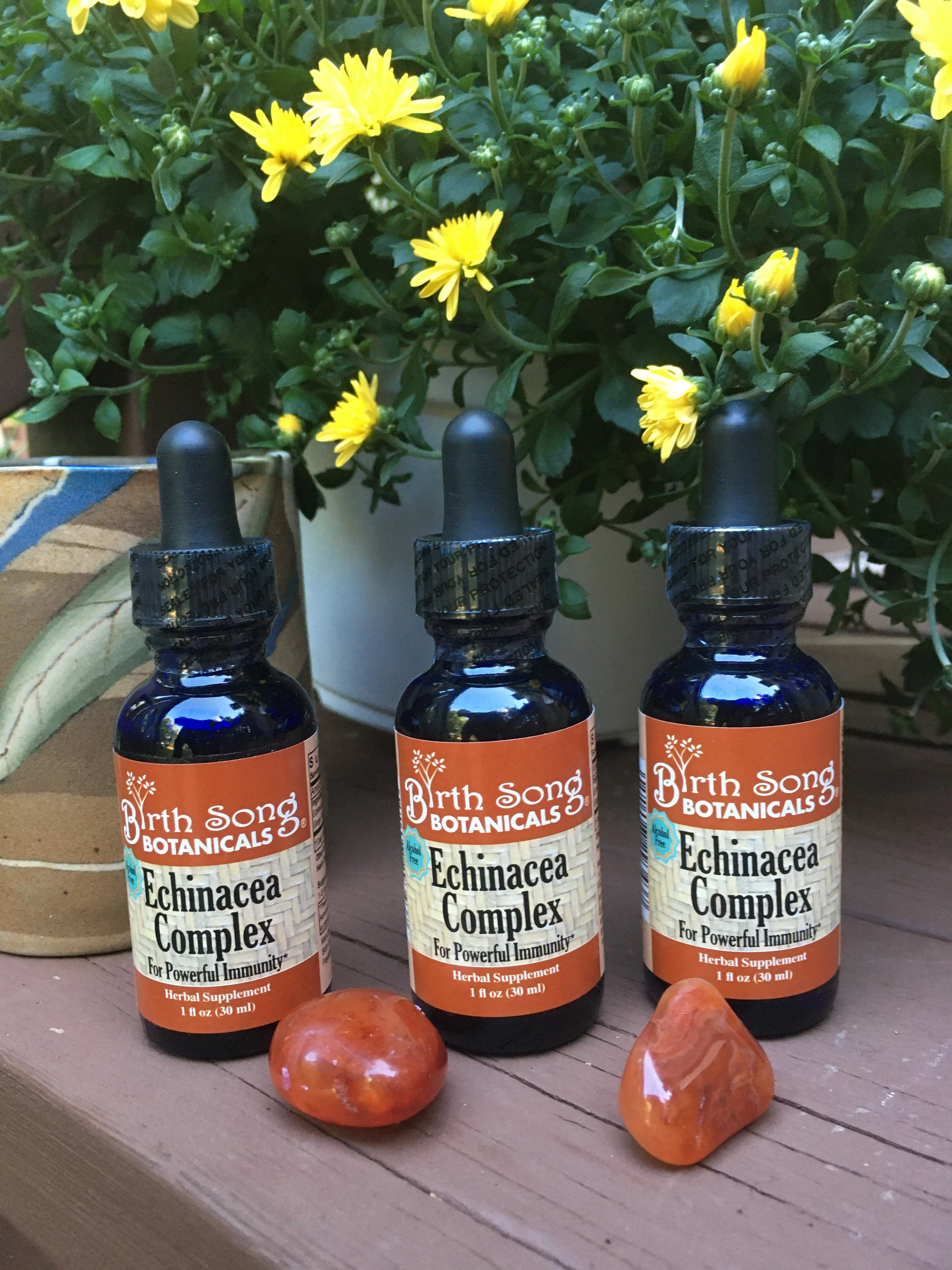 Echinacea Complex Herbal Tincture - Image 4