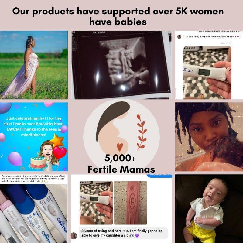 IUI/ IVF Prep and Support Bundle - Image 4