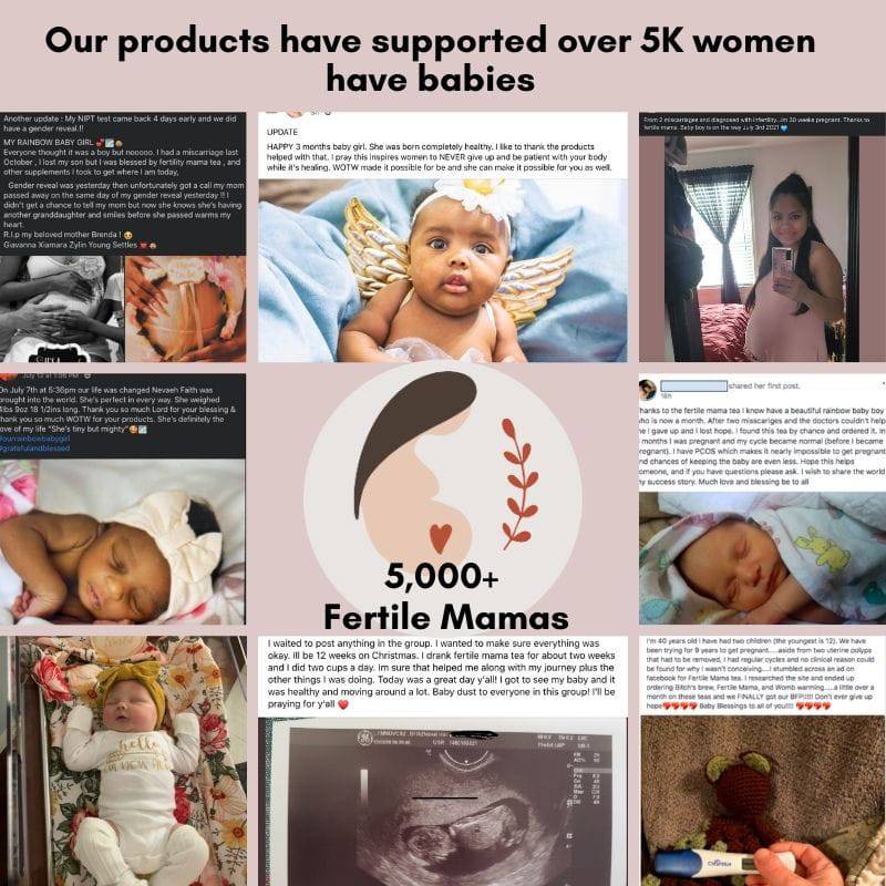 IUI/ IVF Prep and Support Bundle - Image 5