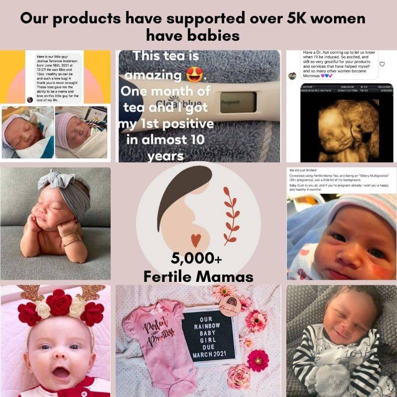 IUI/ IVF Prep and Support Bundle - Image 6