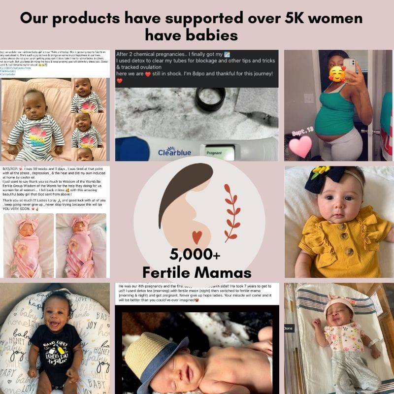 IUI/ IVF Prep and Support Bundle - Image 7