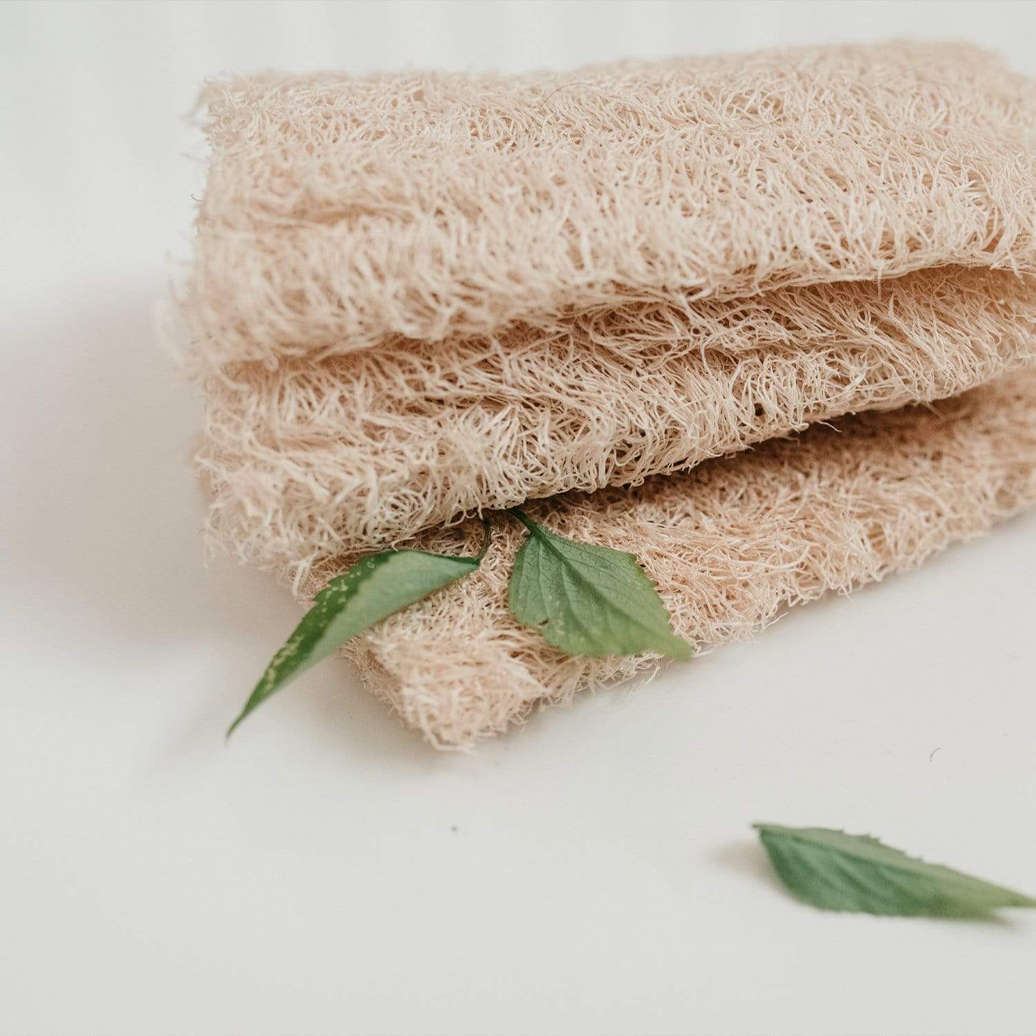 Loofah Sponge - Image 3