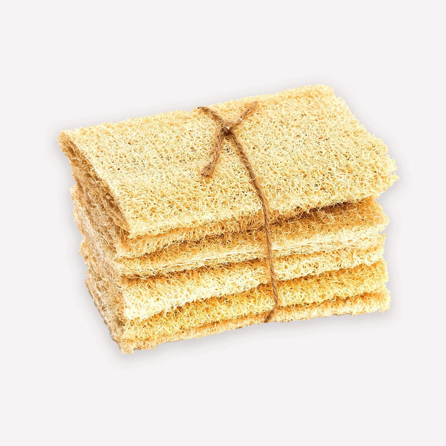Loofah Sponge - Image 5